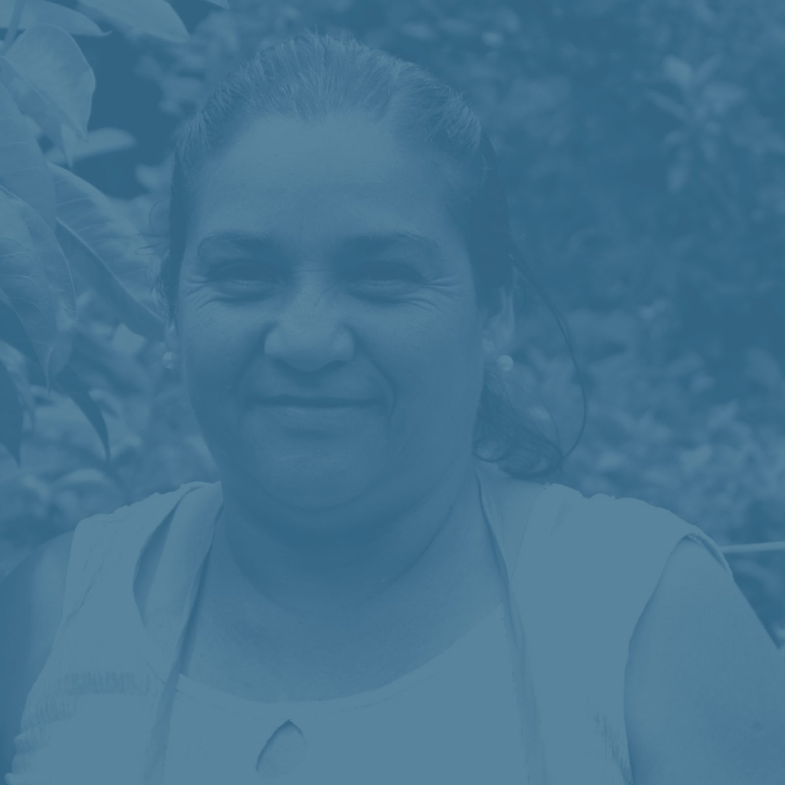 ViviendasLeón Website